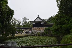 Castle and Pond